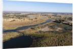 Aerial view of Okavango Delta by Anonymous