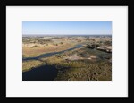 Aerial view of Okavango Delta by Anonymous