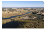 Aerial view of Okavango Delta by Anonymous