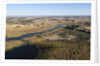 Aerial view of Okavango Delta by Anonymous