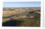 Aerial view of Okavango Delta by Anonymous
