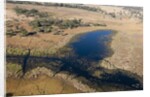 Aerial view of Okavango Delta by Anonymous