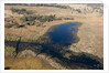 Aerial view of Okavango Delta by Anonymous
