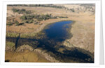 Aerial view of Okavango Delta by Anonymous