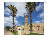 Caesarea Harbor National Park, Crusader City, a roman sarcophagus adorned with rosettes and the minaret of Bosnian Mosque by Anonymous