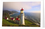 Heceta Head Lighthouse, Oregon Coast, Pacific Ocean, Pacific Northwest by Anonymous