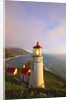 Heceta Head Lighthouse, Oregon Coast, Pacific Ocean, Pacific Northwest by Anonymous