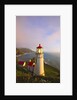 Heceta Head Lighthouse, Oregon Coast, Pacific Ocean, Pacific Northwest by Anonymous