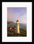 Heceta Head Lighthouse, Oregon Coast, Pacific Ocean, Pacific Northwest by Anonymous