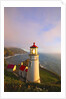 Heceta Head Lighthouse, Oregon Coast, Pacific Ocean, Pacific Northwest by Anonymous