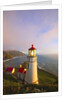 Heceta Head Lighthouse, Oregon Coast, Pacific Ocean, Pacific Northwest by Anonymous