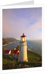 Heceta Head Lighthouse, Oregon Coast, Pacific Ocean, Pacific Northwest by Anonymous