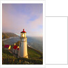 Heceta Head Lighthouse, Oregon Coast, Pacific Ocean, Pacific Northwest by Anonymous
