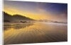 Sunrise over Crescent Beach, Oregon Coast, Pacific Ocean, Pacific Northwest by Anonymous