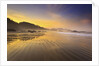 Sunrise over Crescent Beach, Oregon Coast, Pacific Ocean, Pacific Northwest by Anonymous