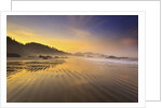 Sunrise over Crescent Beach, Oregon Coast, Pacific Ocean, Pacific Northwest by Anonymous