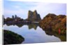 Starfish and rock formations along Indian Beach, Oregon Coast by Anonymous
