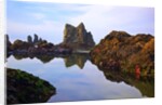 Starfish and rock formations along Indian Beach, Oregon Coast by Anonymous