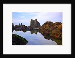 Starfish and rock formations along Indian Beach, Oregon Coast by Anonymous