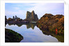 Starfish and rock formations along Indian Beach, Oregon Coast by Anonymous