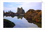 Starfish and rock formations along Indian Beach, Oregon Coast by Anonymous