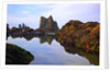 Starfish and rock formations along Indian Beach, Oregon Coast by Anonymous