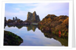 Starfish and rock formations along Indian Beach, Oregon Coast by Anonymous