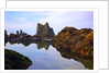 Starfish and rock formations along Indian Beach, Oregon Coast by Anonymous