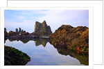 Starfish and rock formations along Indian Beach, Oregon Coast by Anonymous