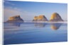 Crescent Beach along Ecola State Park, Oregon Coast, Pacific Ocean by Anonymous