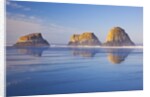 Crescent Beach along Ecola State Park, Oregon Coast, Pacific Ocean by Anonymous