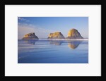 Crescent Beach along Ecola State Park, Oregon Coast, Pacific Ocean by Anonymous
