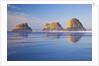 Crescent Beach along Ecola State Park, Oregon Coast, Pacific Ocean by Anonymous