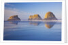 Crescent Beach along Ecola State Park, Oregon Coast, Pacific Ocean by Anonymous
