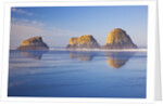 Crescent Beach along Ecola State Park, Oregon Coast, Pacific Ocean by Anonymous