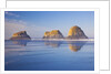 Crescent Beach along Ecola State Park, Oregon Coast, Pacific Ocean by Anonymous