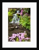 spring flowers add beauty to waterfall at Crystal Springs Garden, Portland Oregon. Pacific Northwest by Anonymous