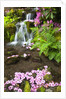 spring flowers add beauty to waterfall at Crystal Springs Garden, Portland Oregon. Pacific Northwest by Anonymous
