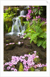 spring flowers add beauty to waterfall at Crystal Springs Garden, Portland Oregon. Pacific Northwest by Anonymous