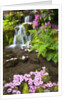 spring flowers add beauty to waterfall at Crystal Springs Garden, Portland Oregon. Pacific Northwest by Anonymous
