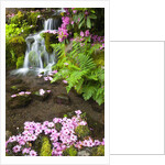 spring flowers add beauty to waterfall at Crystal Springs Garden, Portland Oregon. Pacific Northwest by Anonymous