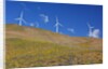 electric wind turbine in Columbia River National Scenic Area, Washington State. Pacific Northwest by Anonymous