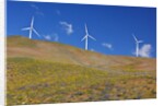 electric wind turbine in Columbia River National Scenic Area, Washington State. Pacific Northwest by Anonymous