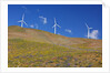 electric wind turbine in Columbia River National Scenic Area, Washington State. Pacific Northwest by Anonymous