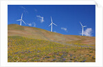electric wind turbine in Columbia River National Scenic Area, Washington State. Pacific Northwest by Anonymous