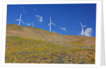 electric wind turbine in Columbia River National Scenic Area, Washington State. Pacific Northwest by Anonymous