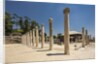 Beit She'an National Park (Scythopolis), the Western Bathhouse by Anonymous