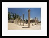 Beit She'an National Park (Scythopolis), the Western Bathhouse by Anonymous