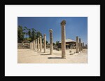Beit She'an National Park (Scythopolis), the Western Bathhouse by Anonymous