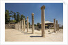Beit She'an National Park (Scythopolis), the Western Bathhouse by Anonymous